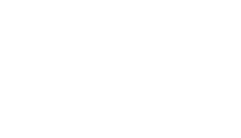 種別 / 修理内容