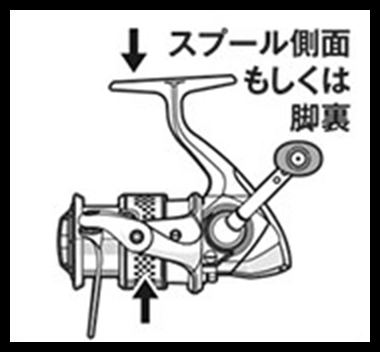 スプール側面もしくは脚裏